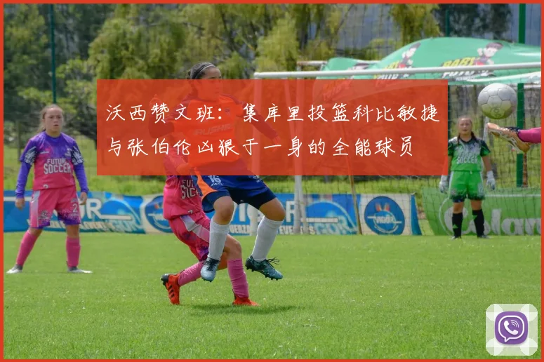 沃西赞文班：集库里投篮科比敏捷与张伯伦凶狠于一身的全能球员